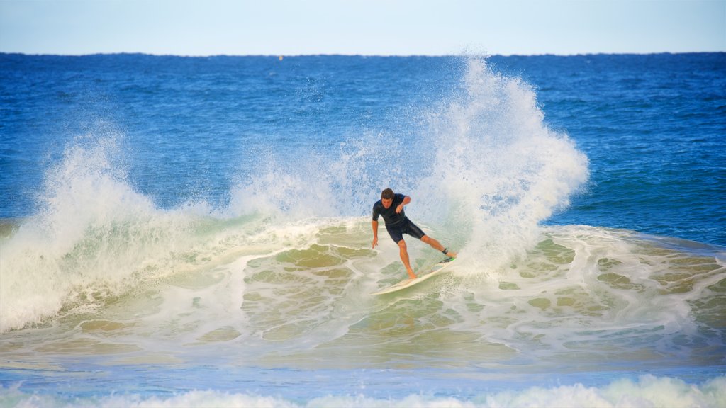 Avoca Beach featuring surfing, a bay or harbour and surf