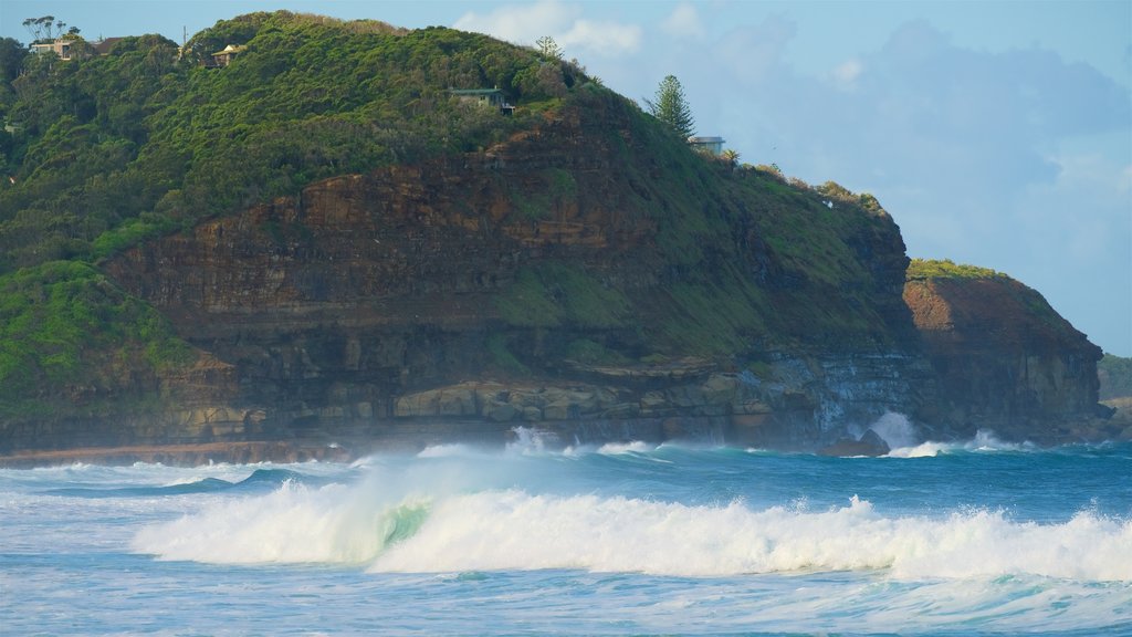 Avoca Beach showing waves, rocky coastline and a bay or harbor