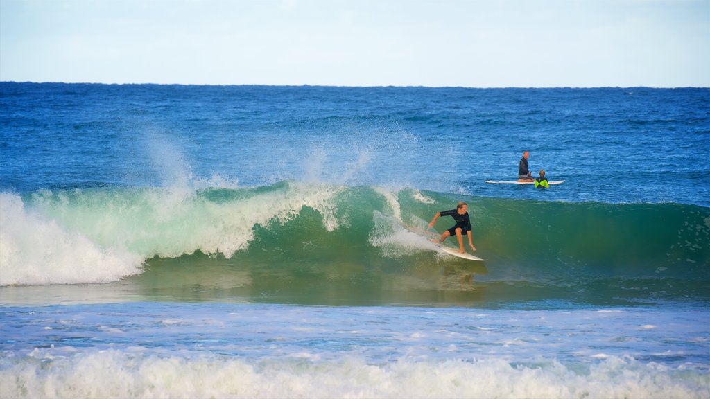 Avoca Beach que inclui surfe, uma baía ou porto e ondas