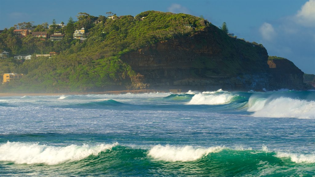 Avoca Beach showing waves, rugged coastline and a bay or harbour