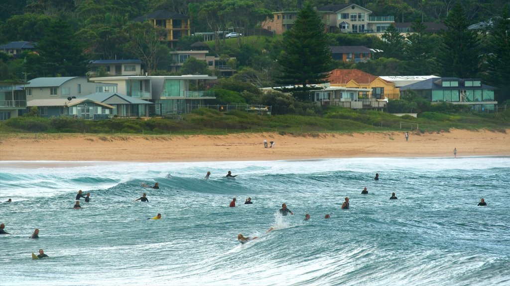 Avoca Beach featuring surfing, waves and a beach