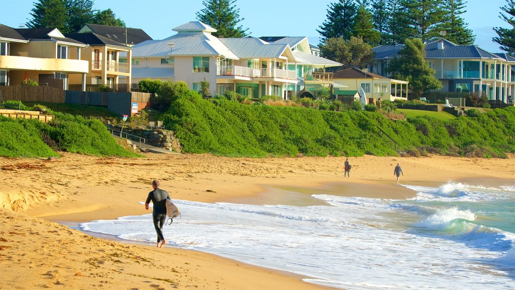 Blue Bay showing a sandy beach, a coastal town and surfing