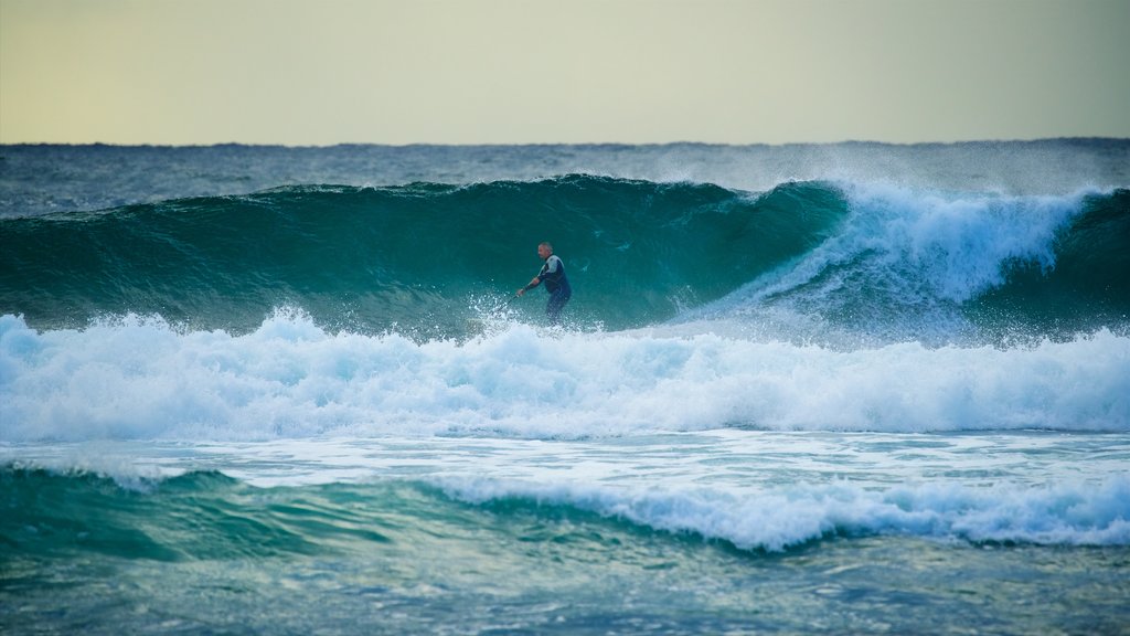 Blue Bay which includes surf, a bay or harbour and surfing