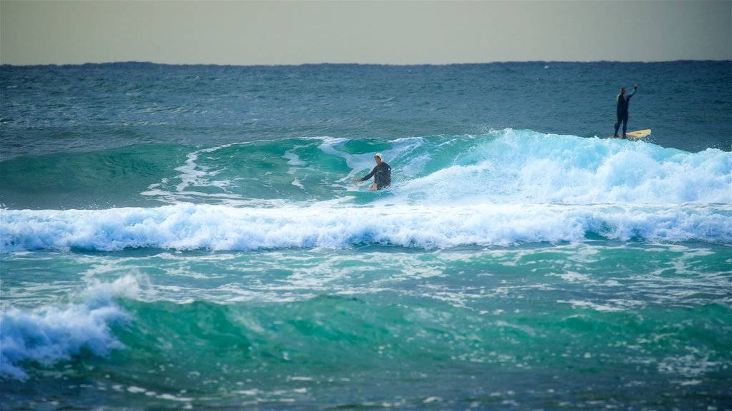 Costa central mostrando surf, olas y vista general a la costa