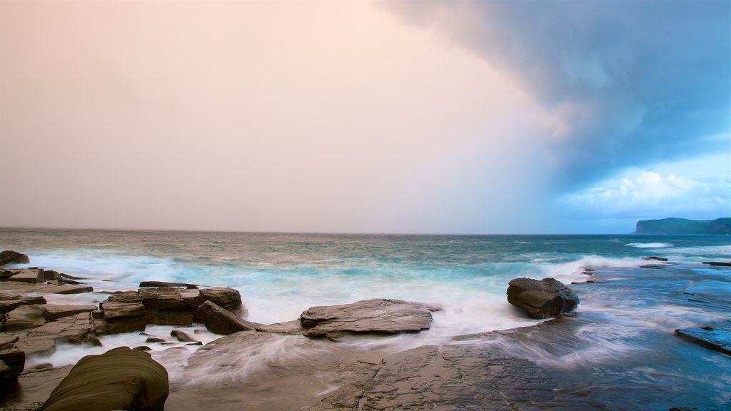 Australian Reptile Park showing a sunset, a bay or harbour and rugged coastline