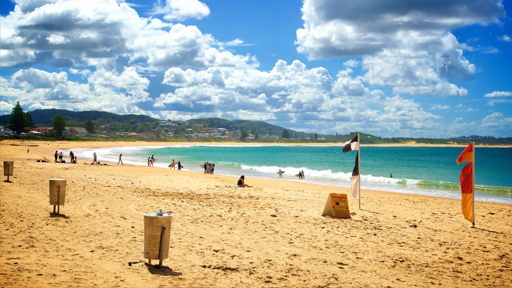 Terrigal mostrando una bahía o un puerto y una playa de arena