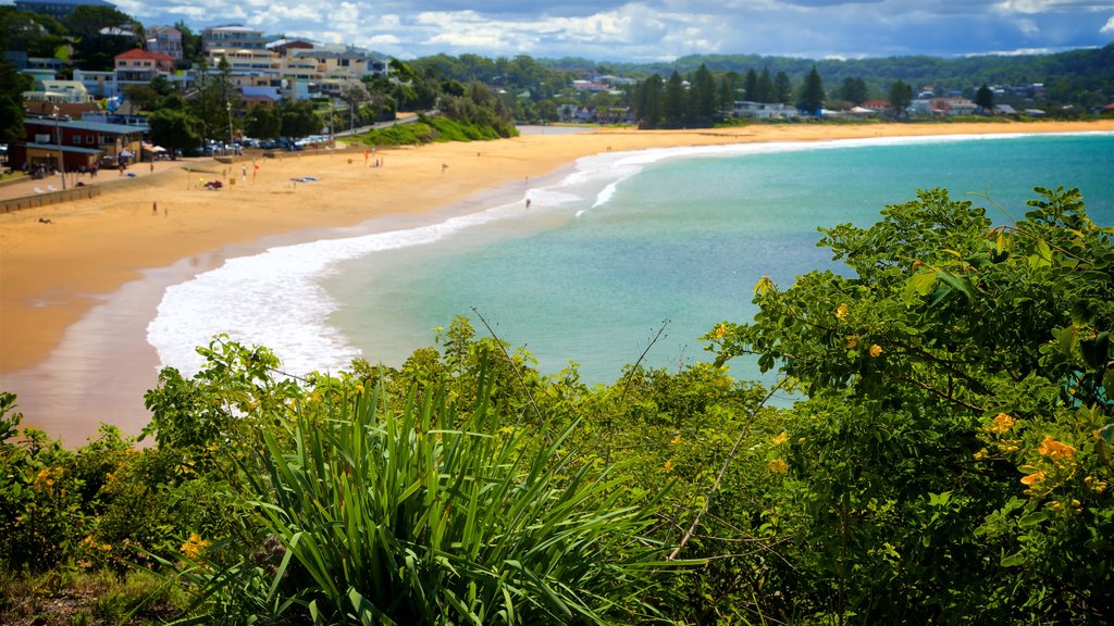 Terrigal qui includes une baie ou un port, une ville côtière et une plage de sable