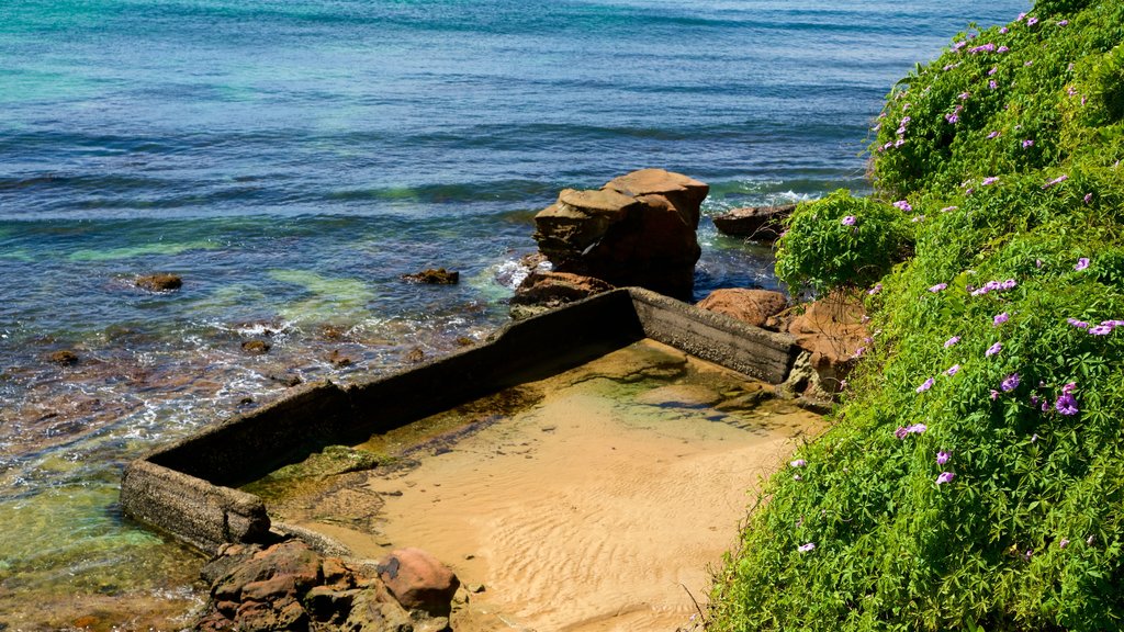 Terrigal mostrando una playa de arena, una bahía o un puerto y costa escarpada