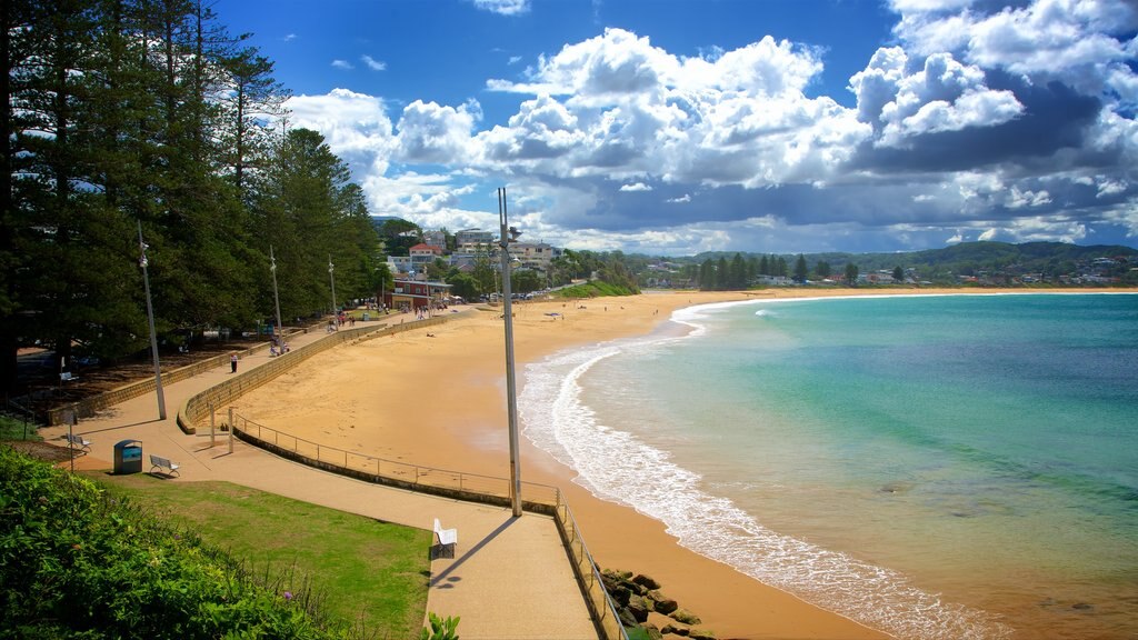 Gosford City Council which includes a beach and general coastal views