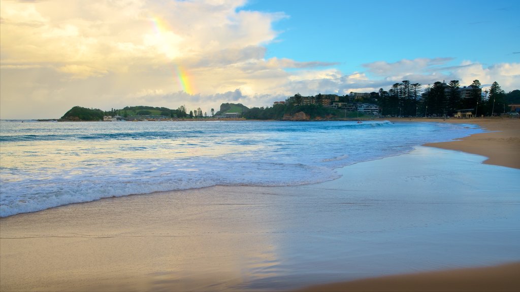 Terrigal ofreciendo un atardecer, una playa de arena y una bahía o un puerto