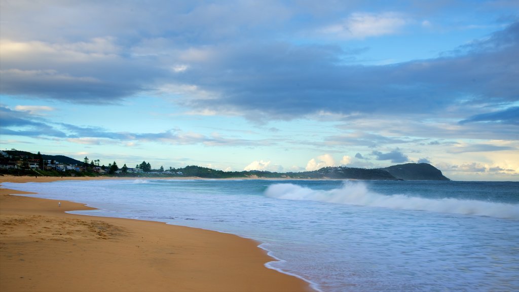 Terrigal which includes a sandy beach, a bay or harbor and surf