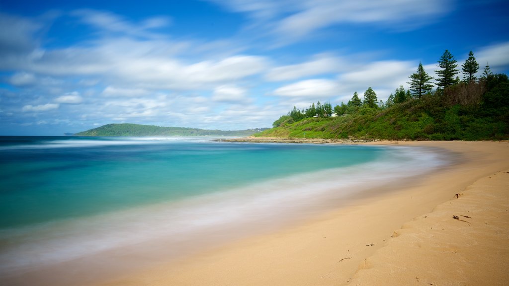 Toowoon Bay mettant en vedette une plage de sable et paysages côtiers