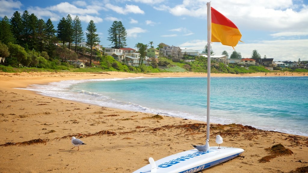 The Entrance which includes a sandy beach and a bay or harbor