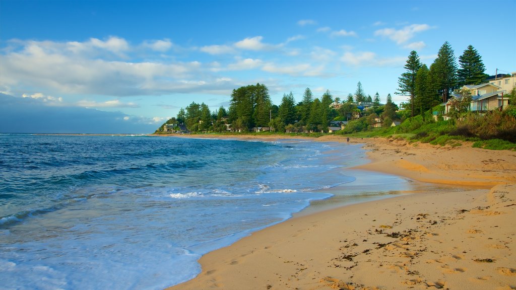 The Entrance which includes a bay or harbor and a beach