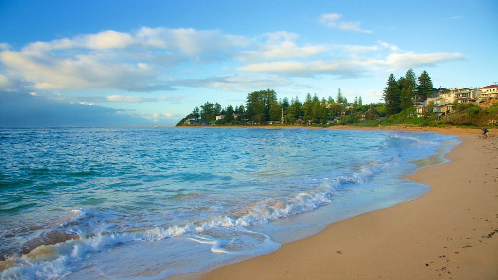 The Entrance showing a sandy beach and a bay or harbor