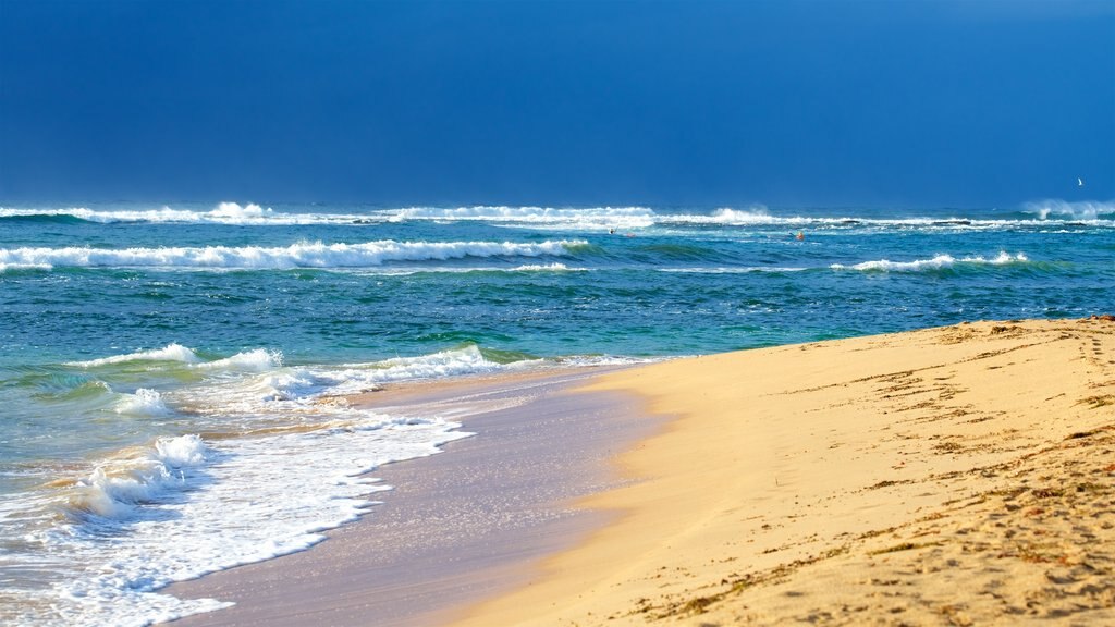 The Entrance featuring surf, a bay or harbour and a beach