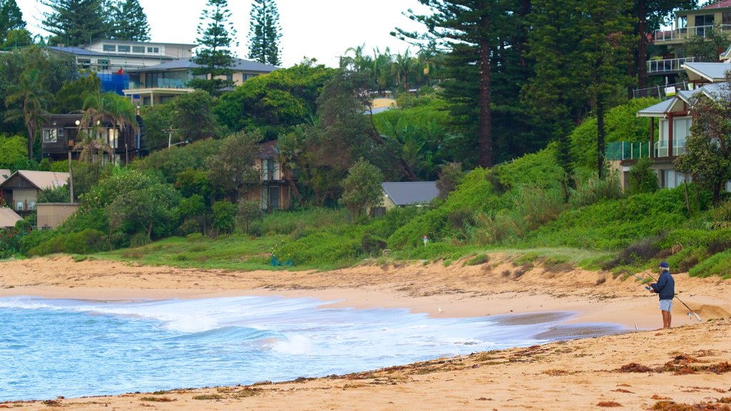 The Entrance showing a bay or harbour, a beach and fishing