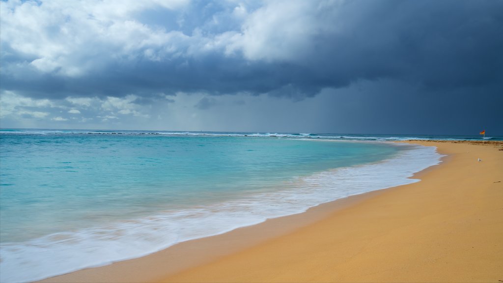 The Entrance which includes a bay or harbour and a sandy beach