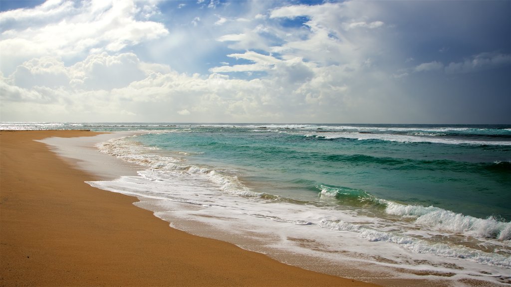 The Entrance which includes a bay or harbor, a beach and surf