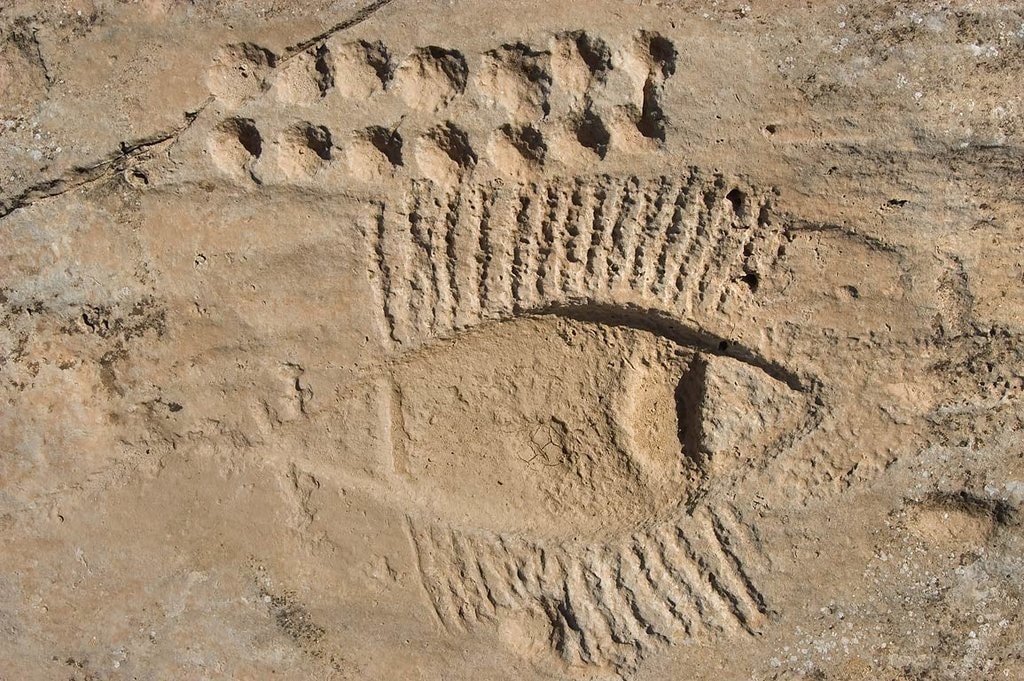 29591308_Al-Jassasiya-Carvings-2.jpg?1579760842
