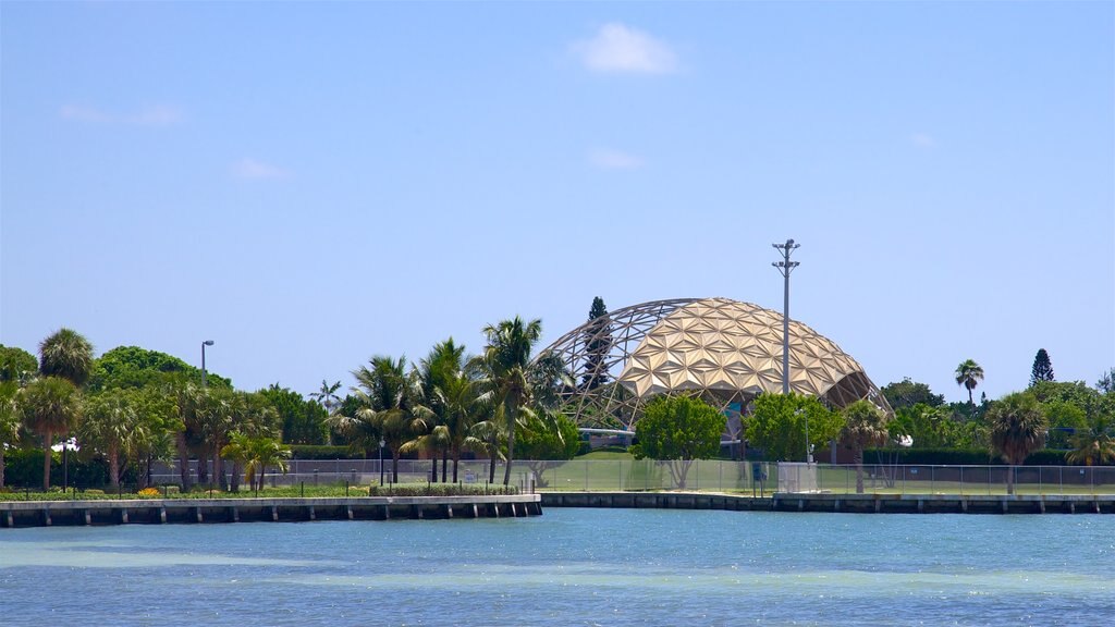 Miami mostrando un río o arroyo