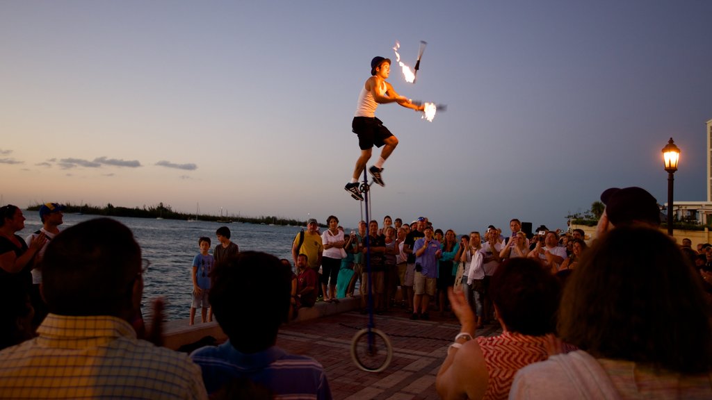 Sul da Flórida mostrando um lago ou charco, arte performática e um pôr do sol