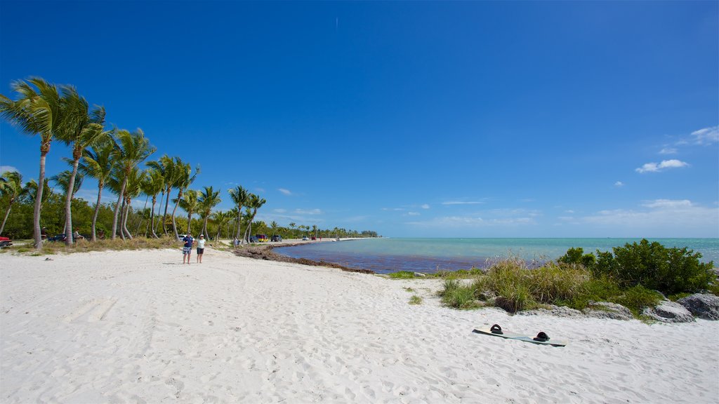 Smathers Beach showing a beach and a bay or harbor as well as a small group of people