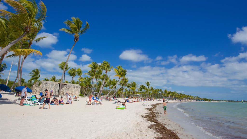 Smathers Beach que incluye una playa y una bahía o un puerto y también un pequeño grupo de personas