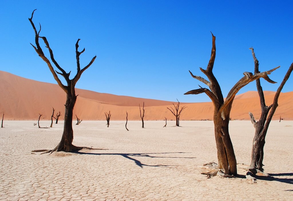 Dead_Vlei_Namibie_CC0.jpg?1544194698