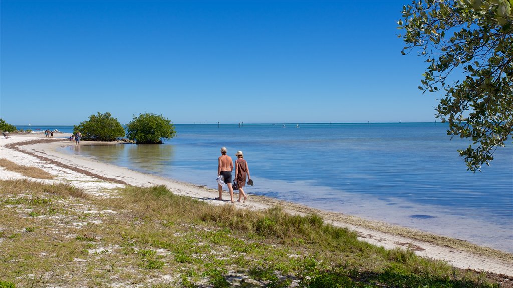 Curry Hammock State Park showing a beach and a bay or harbor as well as a couple