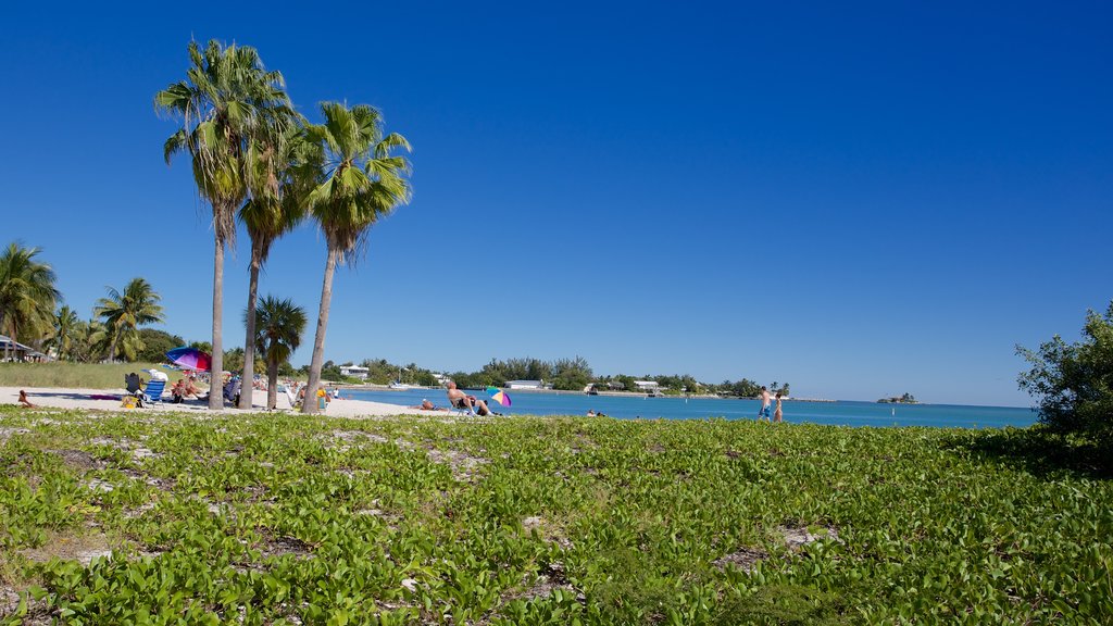 Sombrero Beach showing a beach and a bay or harbor as well as a small group of people