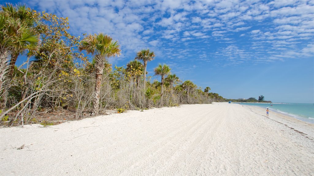 Barefoot Beach que inclui uma baía ou porto e uma praia de areia