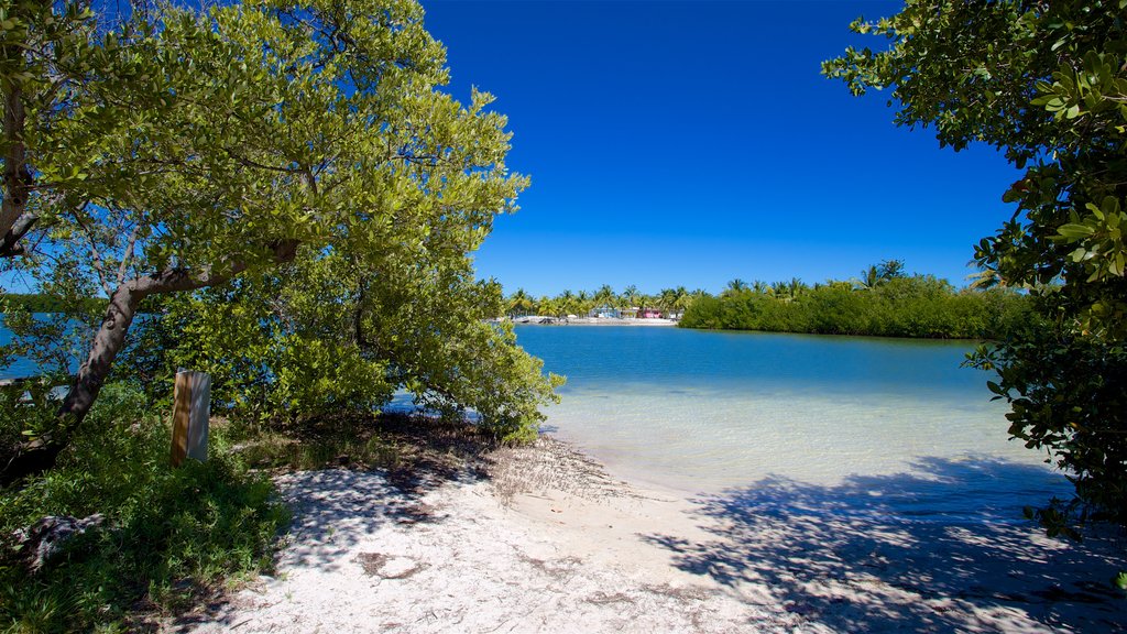 Parque estatal Curry Hammock que incluye una playa de arena y una bahía o puerto