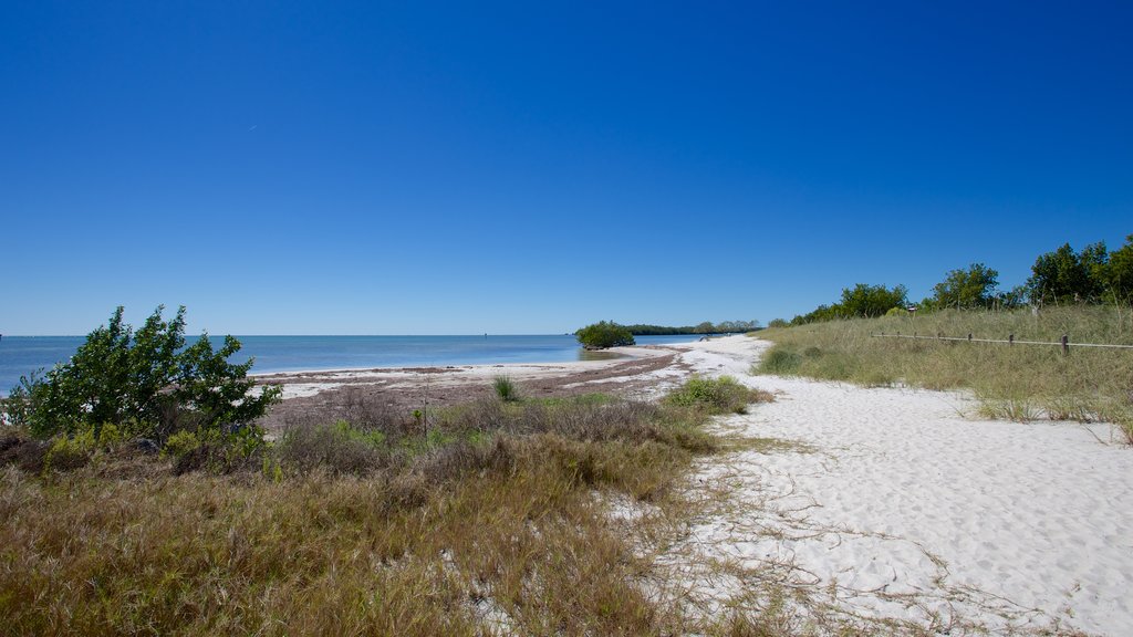 Curry Hammock State Park which includes a bay or harbour and a sandy beach