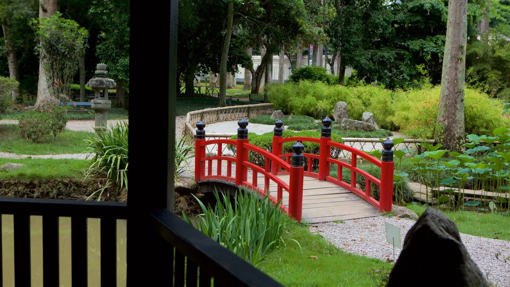 Botanische tuin van Rio de Janeiro inclusief een rivier of beek, een brug en een tuin