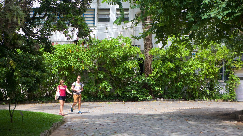 Jardín Botánico de Río de Janeiro que incluye un jardín y también una pareja