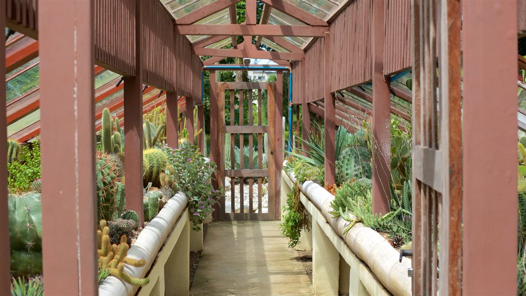 Jardín Botánico de Río de Janeiro ofreciendo vistas de interior y un jardín