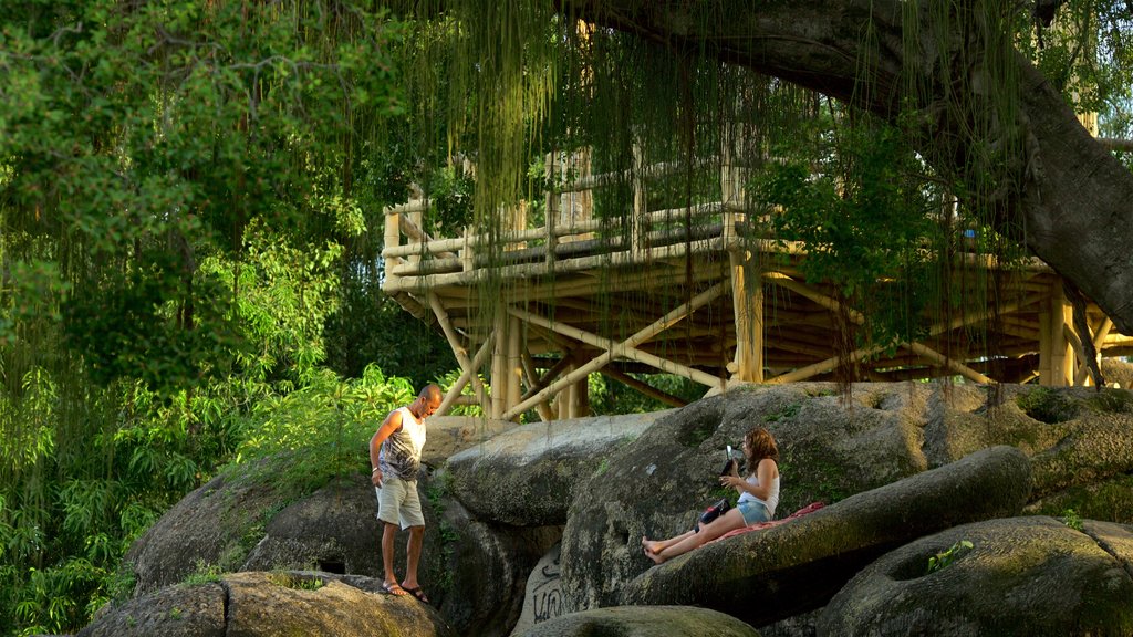 Parc de Boa Vista montrant forêt vierge et parc aussi bien que petit groupe de personnes