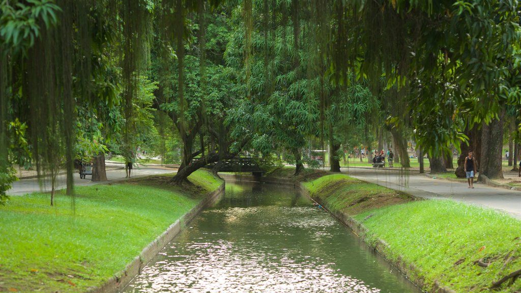 Parc de Boa Vista qui includes rivière ou ruisseau et jardin