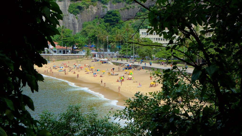 Río de Janeiro que incluye vista general a la costa y una playa de arena