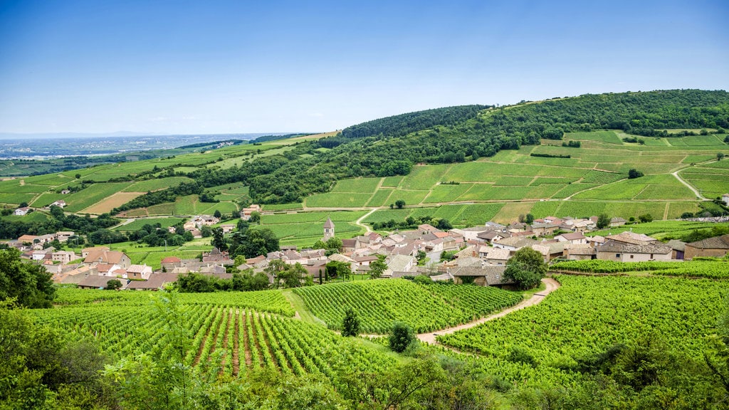 mercure-article-bourgogne-la-route-des-vins-du-maconnais-beaujolais-2500px.jpg?1579164588