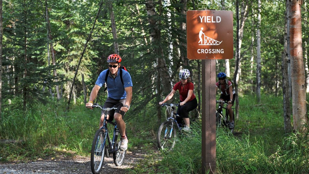 Anchorage mostrando ciclismo de montaña, bosques y señalización