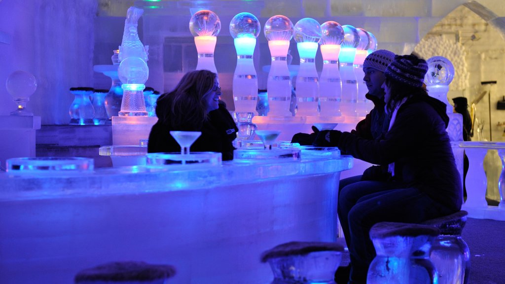 Chena Hot Springs showing a bar and interior views as well as a small group of people