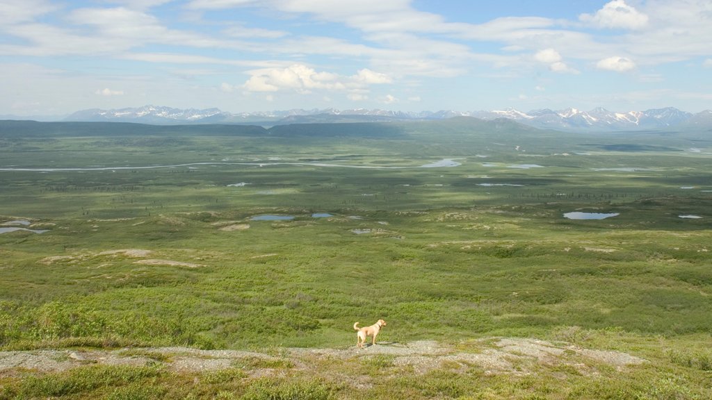 Far North Alaska which includes tranquil scenes and cuddly or friendly animals