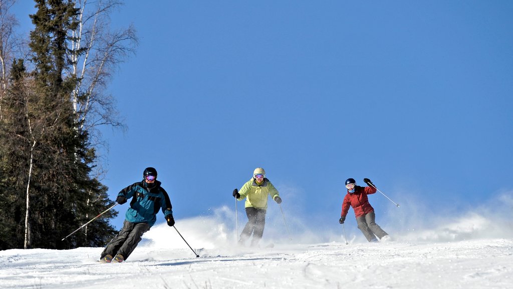 Norte do Alasca mostrando esqui na neve e neve assim como um pequeno grupo de pessoas