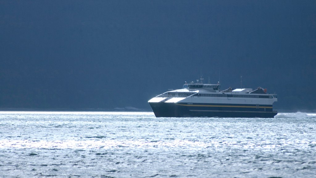 Far North Alaska showing a bay or harbor and cruising