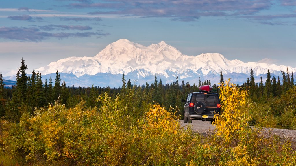 Alaska del norte mostrando montañas, escenas tranquilas y excursiones en vehículos