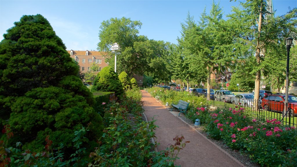 Áreas residenciales del norte ofreciendo un jardín