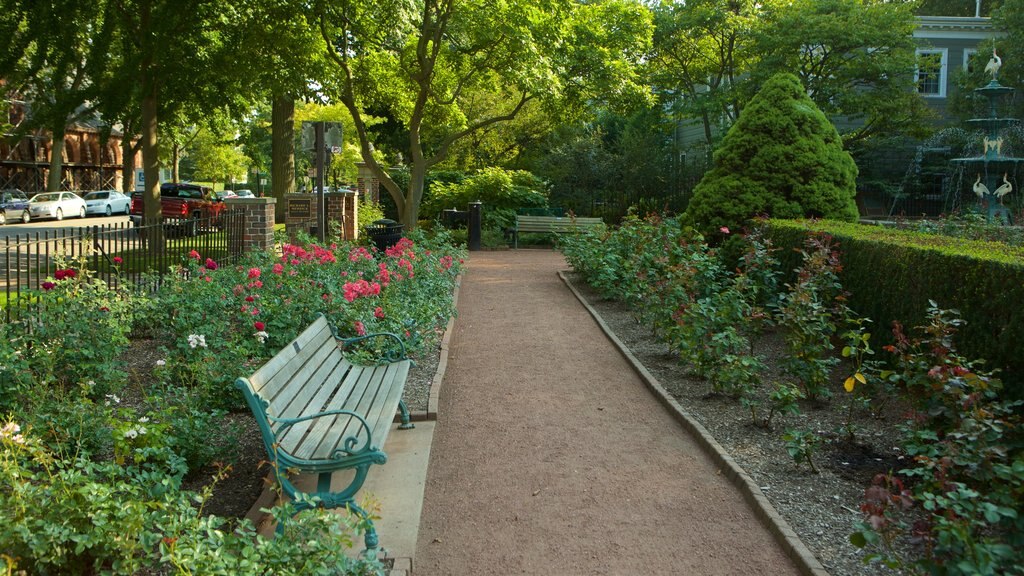 North Suburbs showing a garden