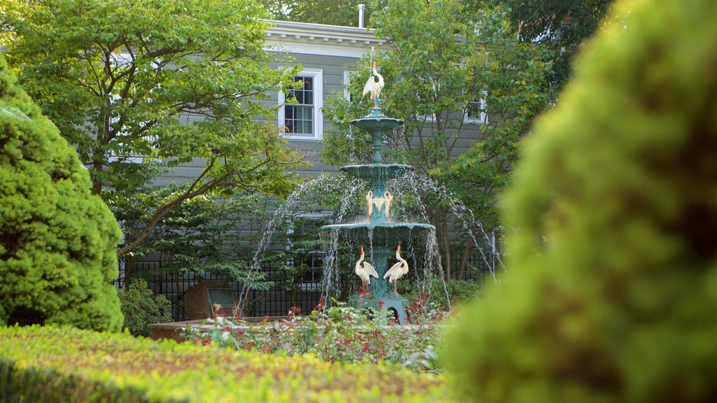 North Suburbs showing a fountain and a park